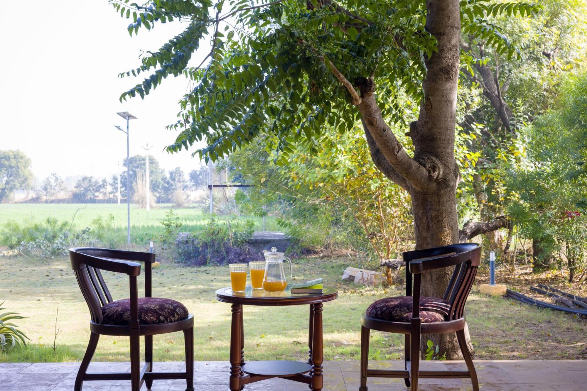 Elivaas Hari Bagh 4 Bhk Villa With Gaming Zone & Art Nook Джайпур Екстериор снимка